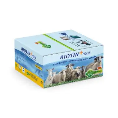 BLOC BIOTIN PLUS